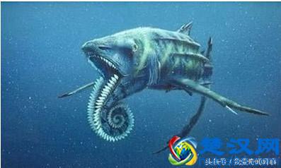  鲸鱼是什么动物（鲸鱼的祖先是什么动物）