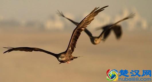  小生意做什么好起步（推荐几个最适合的小本经营好项目）