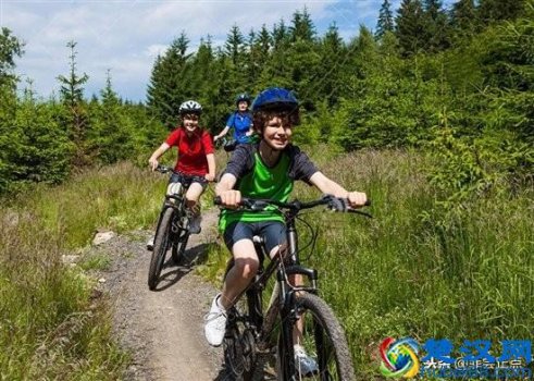 儿童自行车什么牌子好(推荐性价比最佳的品牌儿童自行车)