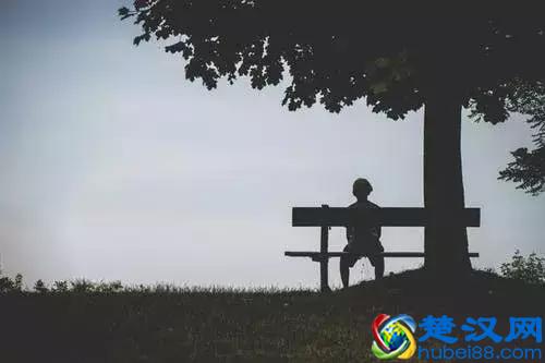  拿什么拯救我的爱人电视剧剧情分析（主要演员表都有谁）