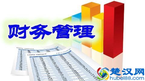 资本公积是什么意思(举个列子解释资本公积)