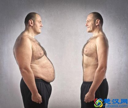  怎么减腹部赘肉（教你几招，快速减掉多余的肉肉）