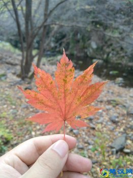  车险保什么比较适合（车险保什么险种最具性价比）