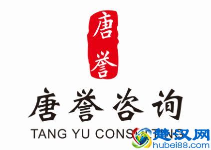  什么是定向增发股票（什么是定向增发及定增流程）