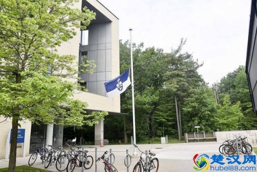 多伦多大学有哪些方面优势(多伦多大学优势专业介绍)