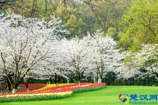  2019年中国生物学专业大学排名（国内最好的生物专业大学介绍）