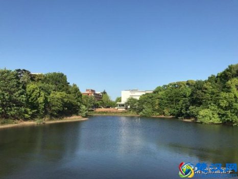  日本大学研究生有哪些专业（日本大学研究生选什么专业好）