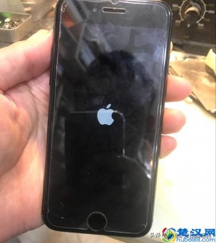  苹果手机白苹果了怎么办（白苹果刷机教程）