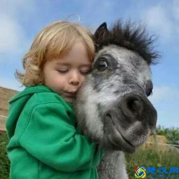  没意思怎么回复才幽默（无聊时可以做的100件事）