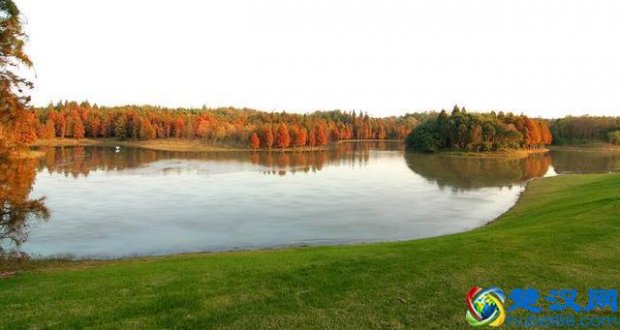  海湾国家森林公园（将是上海最美的后花园）