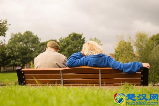  胃溃疡吃什么食物好（胃溃疡吃什么比较好）