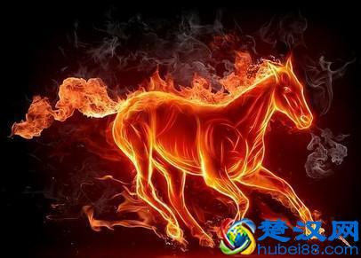  什么人适合创业做老板（哪些人适合自己创业当老板）