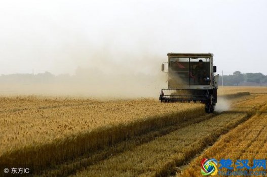  现代农业的特征是什么（现代农业的基本特征及发展趋势）