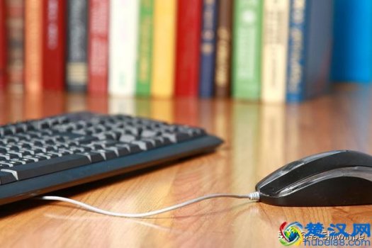  鼠标不动了怎么办（鼠标插上亮灯但是不能动怎么办）