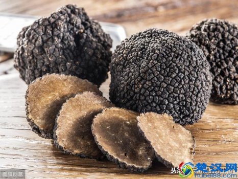  黑松露有什么营养价值（松露有什么吃法好吃）
