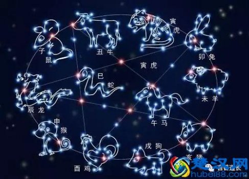  什么生肖的人性格好（十二生肖的人都有什么特点）