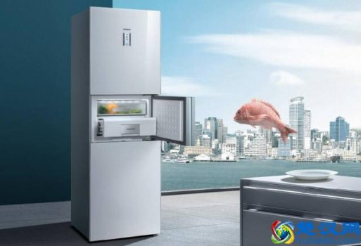  冰箱什么牌子的好用又省电（家用冰箱选购技巧）