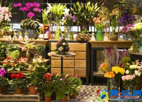  乡下小店做什么生意好（农村小店适合做什么项目）