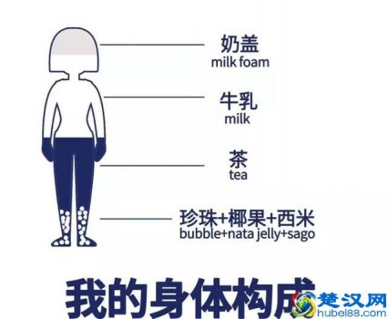  熊猫奶茶是什么奶茶（熊猫奶茶为什么受欢迎）