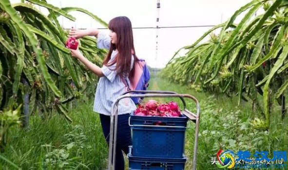  创业应该选择什么区域（自己创业要注意什么问题）