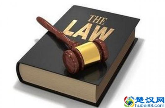  特许经营主要做些什么（特许a经营有哪些特点）