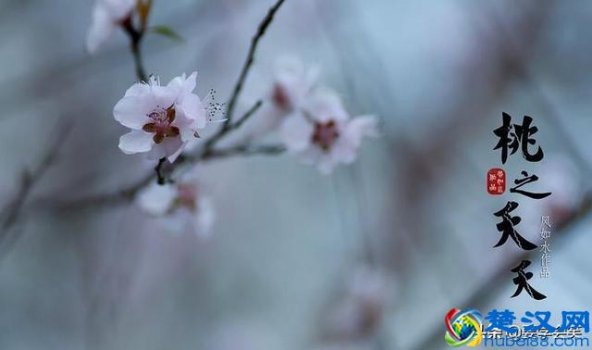  桃子夭夭是什么意思（桃之夭夭是形容什么）