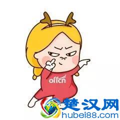  地方统计局是干什么的(GDP数据以后将由国家统计局核算地方经济数据)