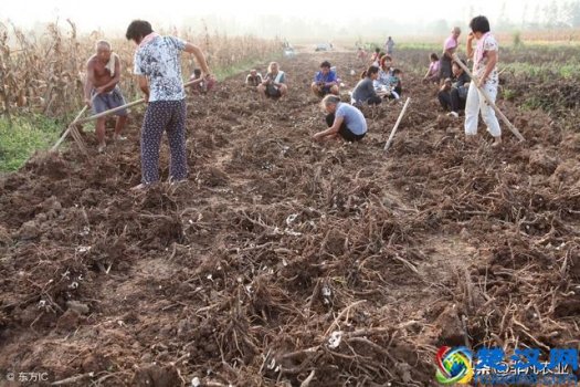  现在做什么设备销路广（开个不愁销路的小厂）