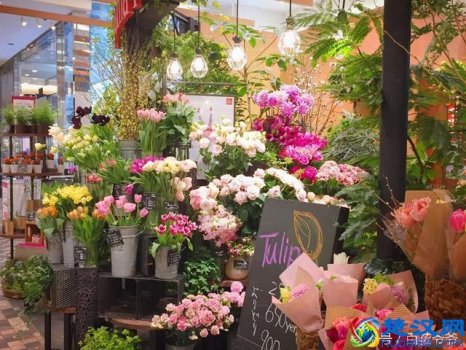 鲜花店有什么花（开花店要注意的地方）