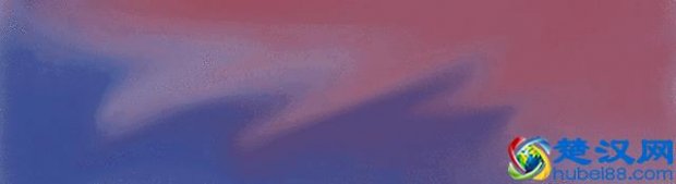  仙护盾是什么意思（仙护盾是什么面料）