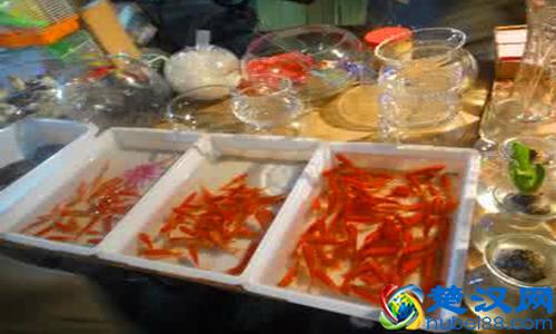  小学附近摆摊卖什么好（小学门口摆摊经验分享）