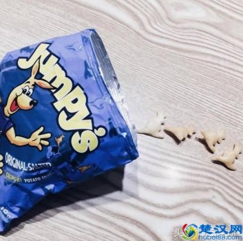  澳洲什么牌子的蜂胶好（明星澳洲海购之选—Wealthy Health有机黑蜂胶）