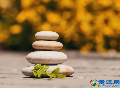 韬光养晦的意思(真正懂得韬光养晦的人)