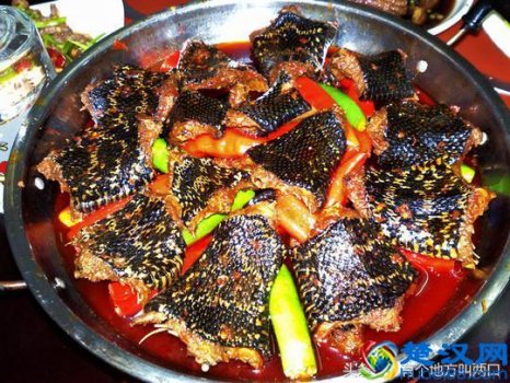  蛇肉的做法有哪些！