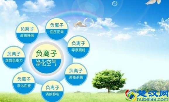  负离子的作用（负离子的五大综合功效你了解的全面吗）