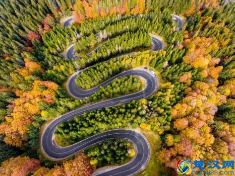  关于毅力的名言（关于毅力的名言事例）