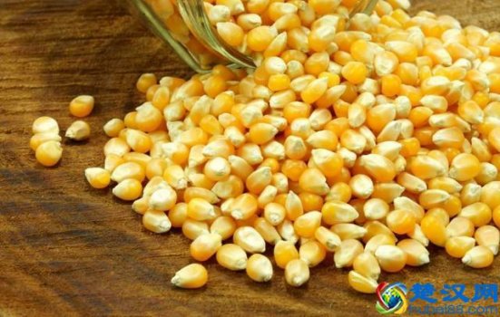  越吃越瘦的食物（10种越吃越瘦的食物推荐给大家）