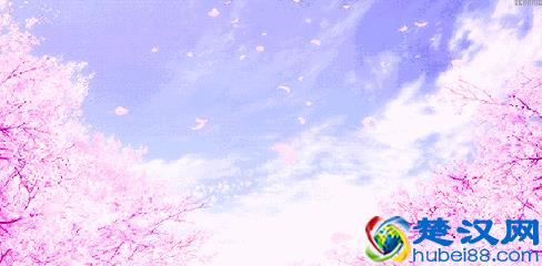  释怀什么意思（什么是释怀，这是我听过最美的答案）