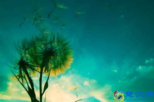 且行且珍惜的意思(且行且珍惜前一句是什么)