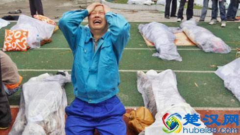  为什么会有地震发生？地震前的征兆有哪些