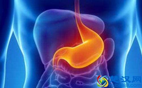  肠胃不好吃什么水果（肠胃不好的人饮食注意事项）