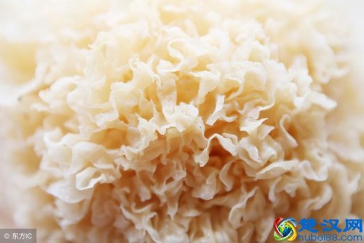  月经不调吃什么最好（推荐几个好秘方，超级有效）