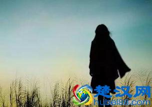 中国的国鸟是什么(中国国鸟有哪些特点)