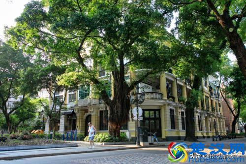 沙面有什么好玩的(沙面游玩攻略大全)