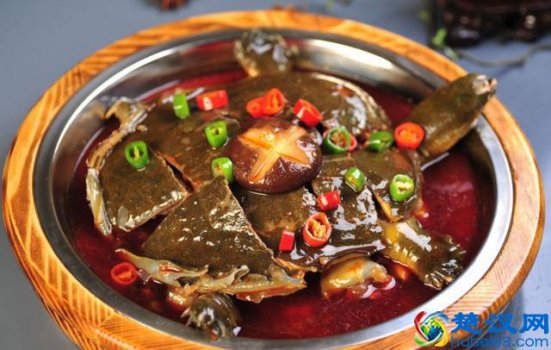  甲鱼怎么做好吃又营养？跟着师傅学（在家自己做出大厨的味道）