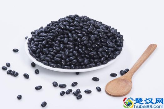  备孕吃什么好（最佳备孕食谱，教你合理的备孕方法）