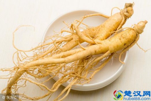  人参怎么吃效果最好？（4种食用方法介绍）