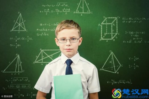  美国高中数学难不难（美国高中数学学什么）