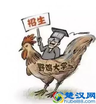 美国野鸡大学有哪些(什么叫做野鸡大学)