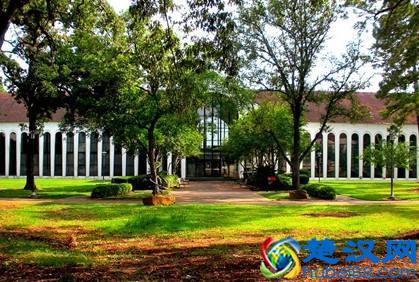  美国休斯顿大学世界排名第几（美国休斯顿大学专业排名介绍）